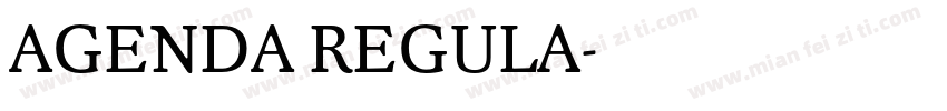 AGENDA REGULA字体转换